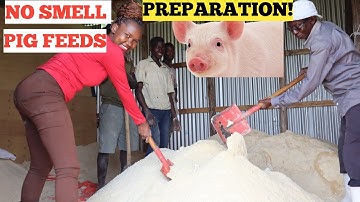 HOW To Make Your OWN PIG FEED Formula - NO SMELL Best Quality Feeds!