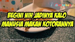 Makan Kotoran Manusia?! Gimana Rasanya?