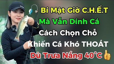 💥Giờ C.H.Ế.T mà vẫn DÍNH CÁ 🎏 Cách chọn chỗ khiến cá không thoát dù TRƯA NẮNG!🌞 | Câu Cá 24H