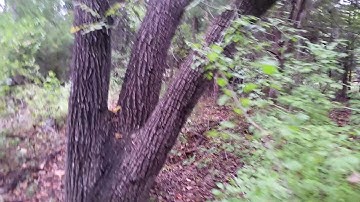 # project go and see.  No bigf [t