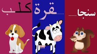 الحروف الأبجدية_ حرف الباء/ب/ أوّل الكلمة _ وسط الكلمة _ آخر الكلمة /أمثلة وتمارين Arabic alphabet