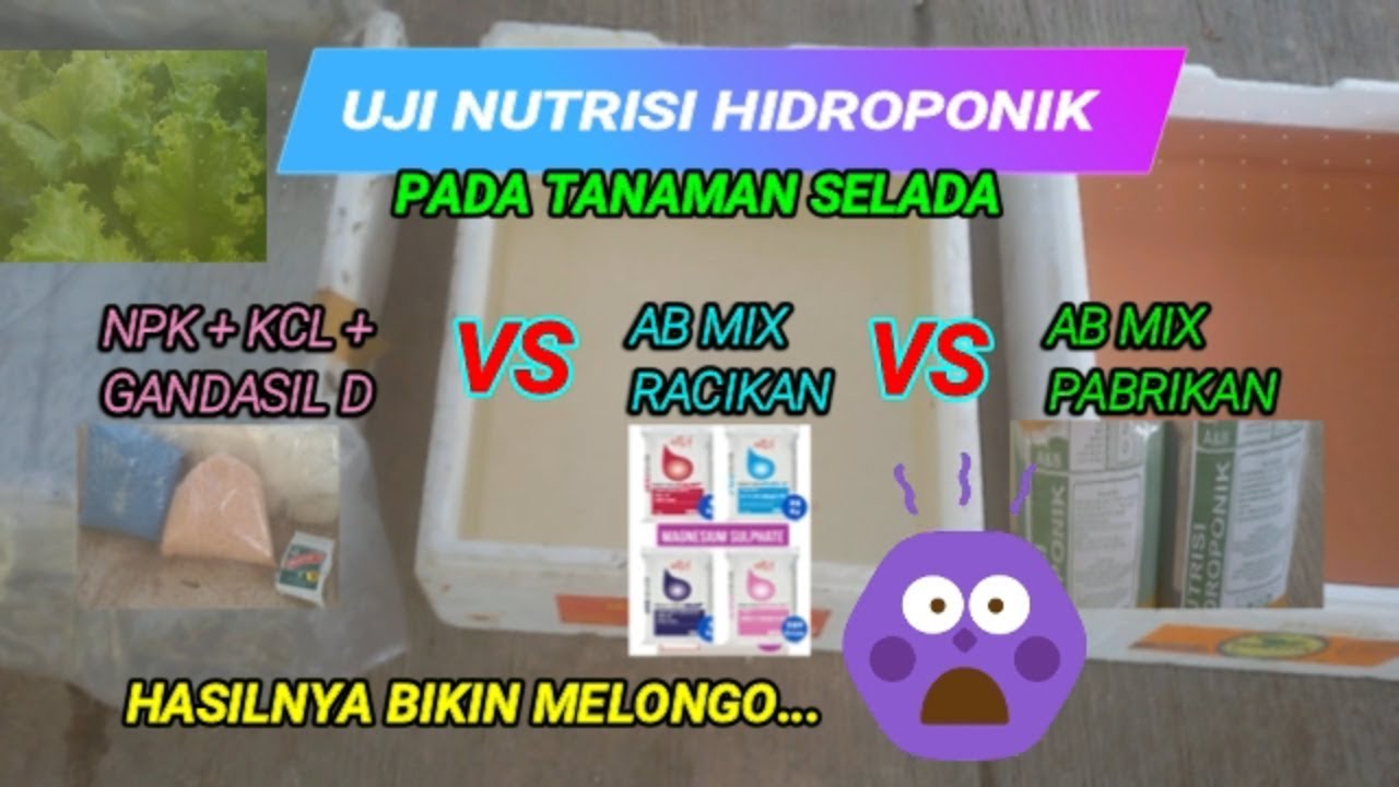 npk vs racikan vs ab mix pabrik - YouTube