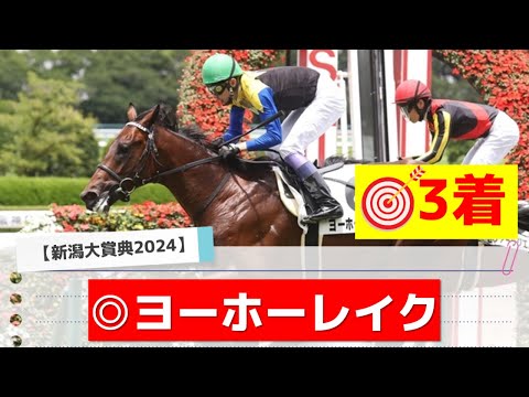 【新潟大賞典2024】"調教TOP3"と"本命"はあの馬！追い切りランキング！