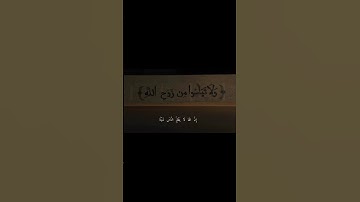 جزء 1 | سورة يونس | 43-44 | #عبدالرحمن_مسعد #المصحف #اكسبلور #قرآن #قران_كريم