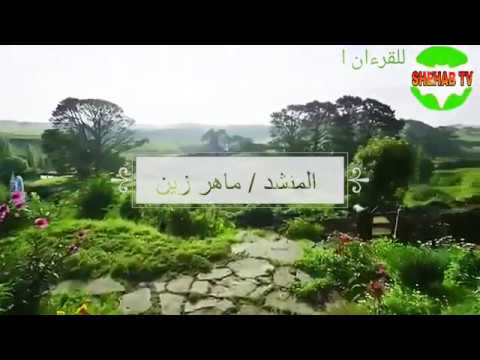 ميزنا الله بأن لنا عقلا يتدبر ماهر زين كلمات 