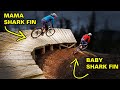 I Built a DOUBLE Shark Fin! (and Other Trail Improvements)