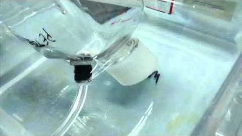 Seal Integrity vs Application torque - Non destructive QC Test