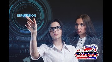 Cat60 Automated AI Reputation Management