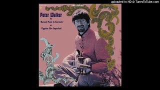 &#39;&#39; peter walker - southwind - 1968