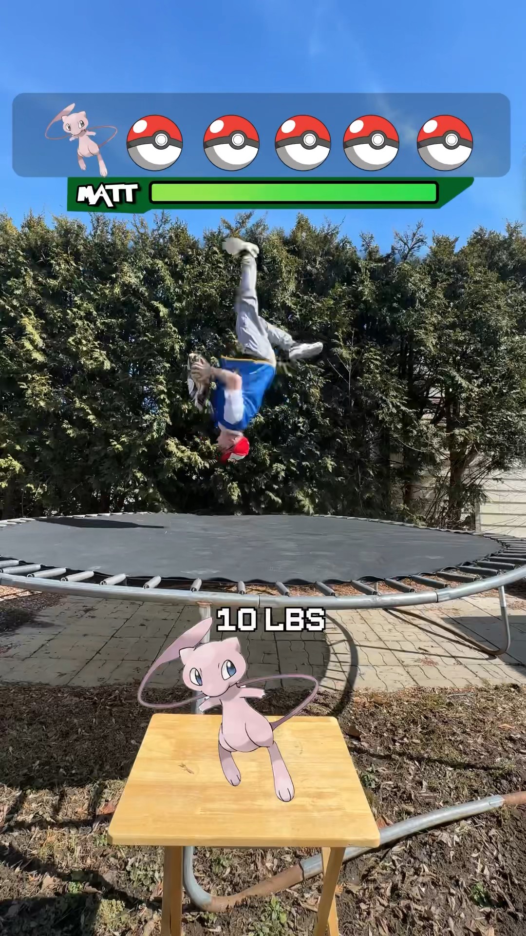 Pokémon VS Flips ?️