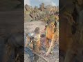 Valkyri attacked on Kratos fight scene 🔥 #godofwarragnarok