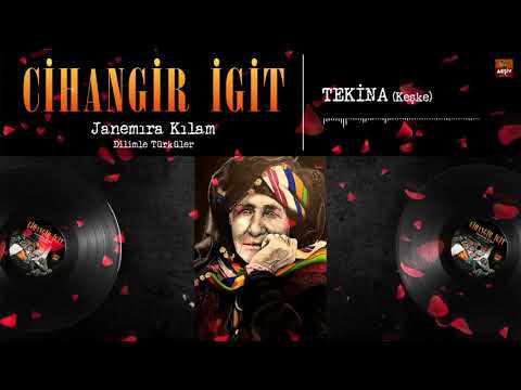Cihangir İgit -