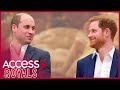 Prince William & Prince Harry Team Up For Princess Diana’s Charity