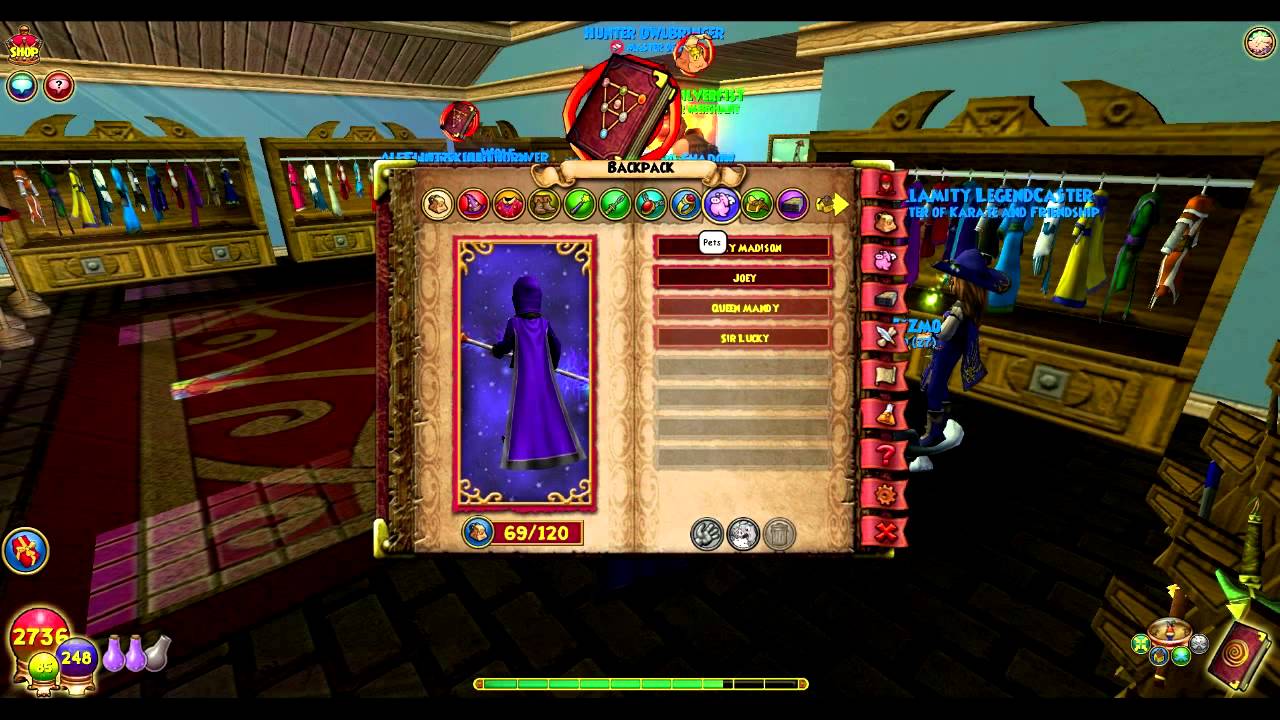 Wizard101 Vlog 1 My Wizards, Gear, Pets! YouTube