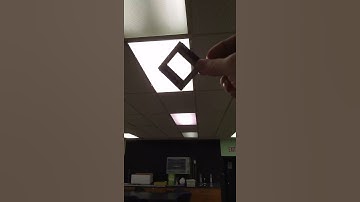 Polarization experiment 1