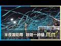 2019.6.25 吱吱變一日爪爪 ~洪總也曾經"封"狂