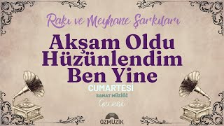 Akşam Oldu Hüzünlendim Ben Yine - Rakı ve Meyhane Şarkıları - Sanat Müziği Resimi