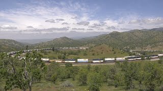 Two Trains at the Tehachapi Loop (April 2024)
