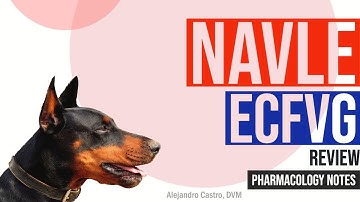 NAVLE/BCSE Review: Cardiac Medications