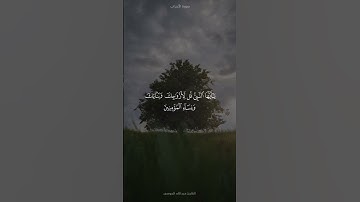 القارئ عبد الله الموسى #اكسبلور #القرآن_الكريم #تلاوات