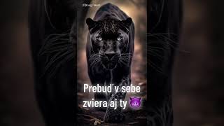 Zaži Volanie Divočiny Aj Tylink Nájdeš V Profile