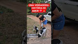 UMA VERDADEIRA HISTÓRIA DE AMOR ❤️