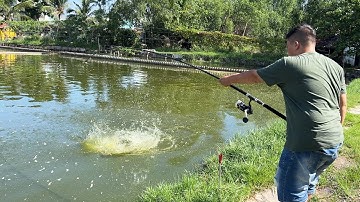 Hồ câu Hoàng Hải Nhà Bè - Bún chua thơm Quang Khải