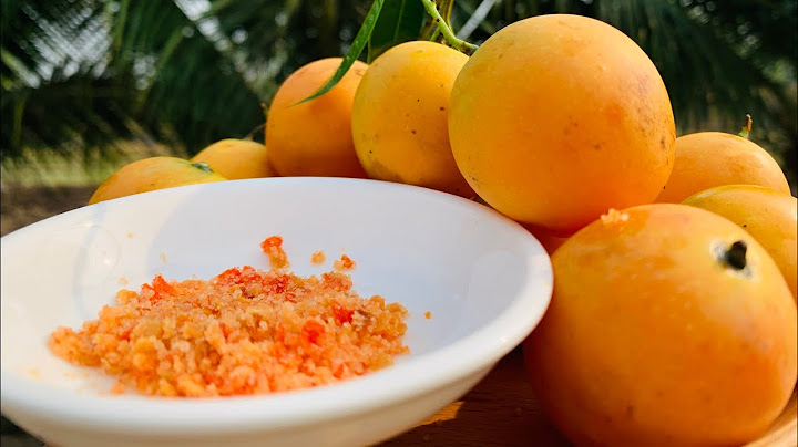 Quả thanh trà là quả gì năm 2024