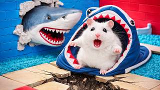 🛑Live : Hamster Faces Fierce Shark While Escaping Prison Maze in Real Life | Hamster Life