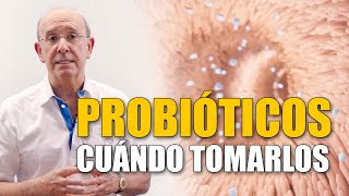 ​ Esto debes saber sobre los probióticos