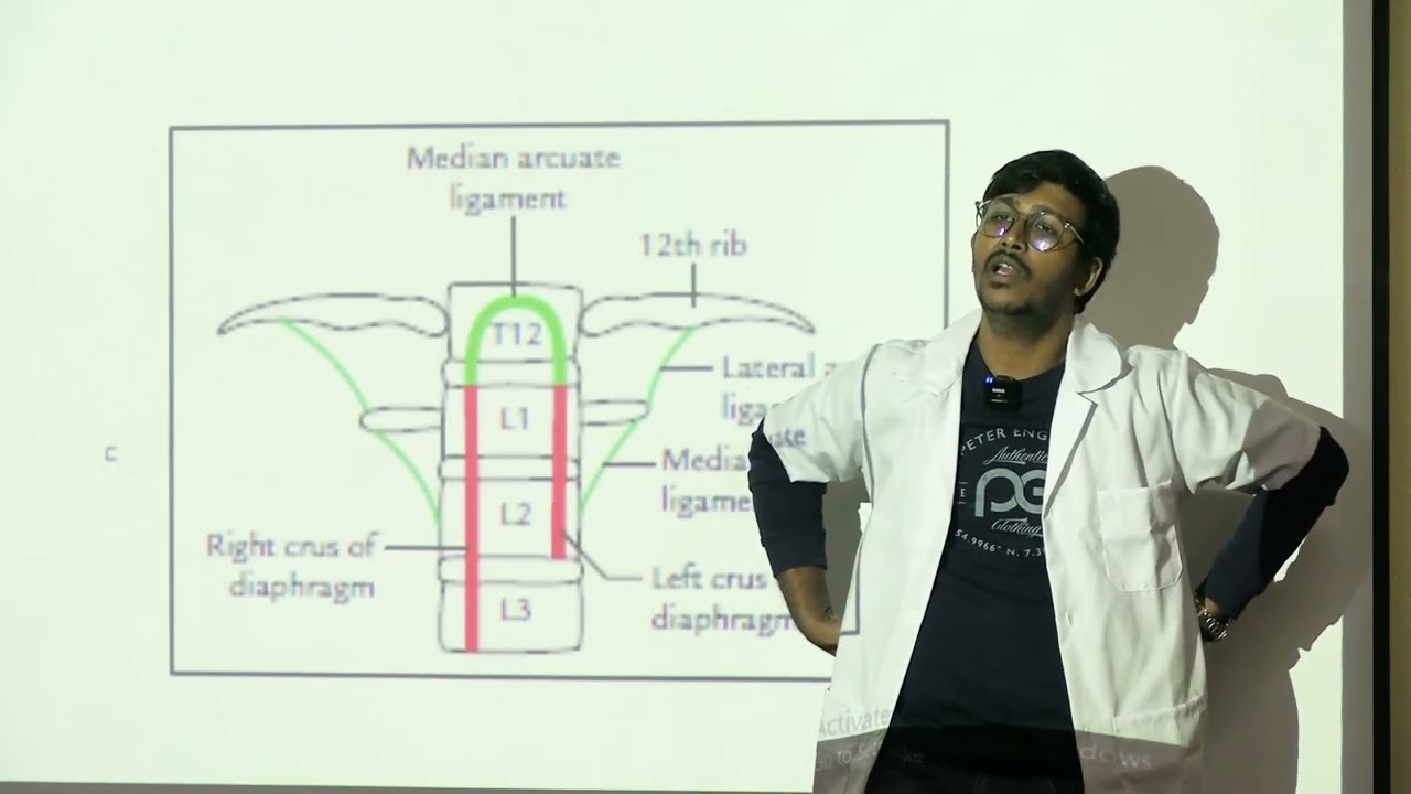 LECTURE ON DIAPHRAGM, BY  DR  PRITAM DEY | MBBS | TSMC