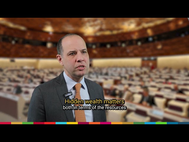 Ricardo Soares de Oliveira | CERI Sciences Po | #FinancingOurFuture #FFD4
