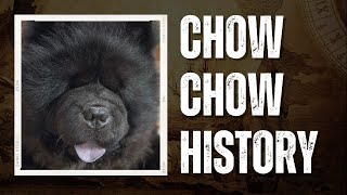 Chow Chow Dog Breed History Theories About The Breeds Origins