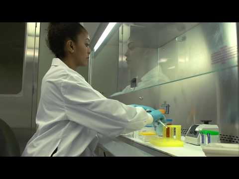 Biological safety cabinet (BSC) 2: Preparatory steps - Biological safety cabinet (BSC) 2: Preparatory steps