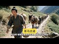 茶馬古道不只是運茶，更是用鮮血鋪就的百姓血淚 #茶马古道，历史真相，古代贸易，残酷真相，民间故事