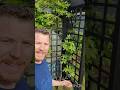 Garden Projects, Arbor, Bird Feeder, Furniture, Hoop House and Picnic Table, #garden #diy