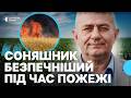 Соняшник замість пшениці: як аграрії змінюють роботу на півдні Харківщини через удари дронами