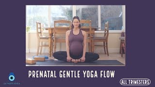 PRENATAL GENTLE YOGA FLOW | ALL TRIMESTERS | 20 MIN
