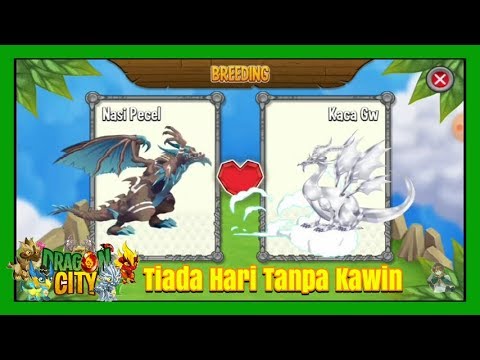 Breeding Naga Legendary Legendary Lagi Dragon City Indonesia 29 Youtube