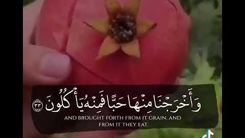 {وءاية لهم الأرض الميتة أحييناها ...} تلاوة عطرة ❤️