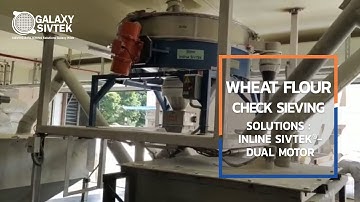 Inline Sivtek® - Dual Motor being used for Sieving Wheat Flour.