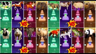 Funny Cow Friends All video Megamix Funny Rhinos  Funny Elephant Funny Horses See Who is best?