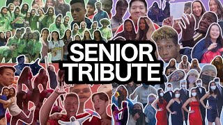 MHS '21 SENIOR TRIBUTE
