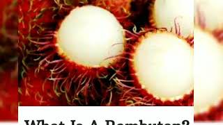 11 Amazing Benefits of RAMBUTAN