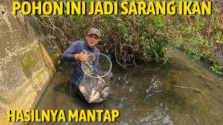 MENCARI IKAN DI SELOKAN KECIL YANG MULAI MENGERING