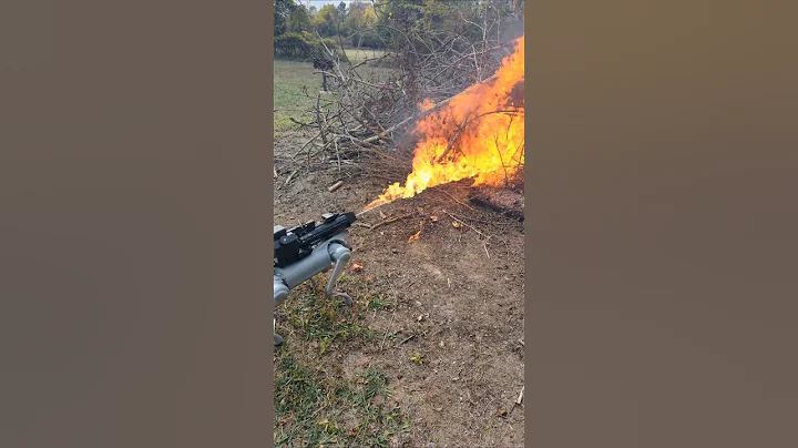 Flamethrower Robot Dog