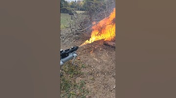 Flamethrower Robot Dog