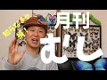 週刊少年ジャンプ？！いやいや！昆虫専門雑誌だってあるんです！その名も【月刊むし】