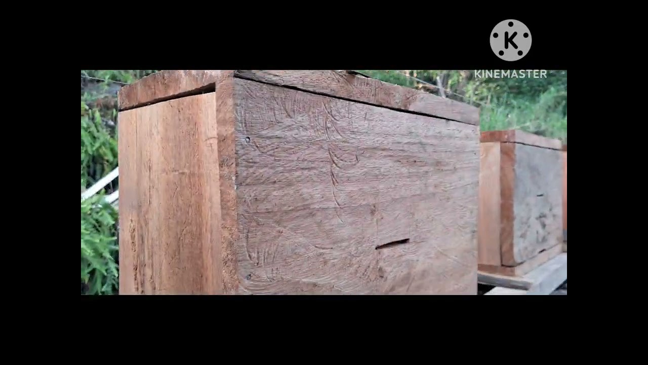 माहुरीकै लागि विलकुलै नया तरिका बाट छुट्टै घर वनाईयाे।