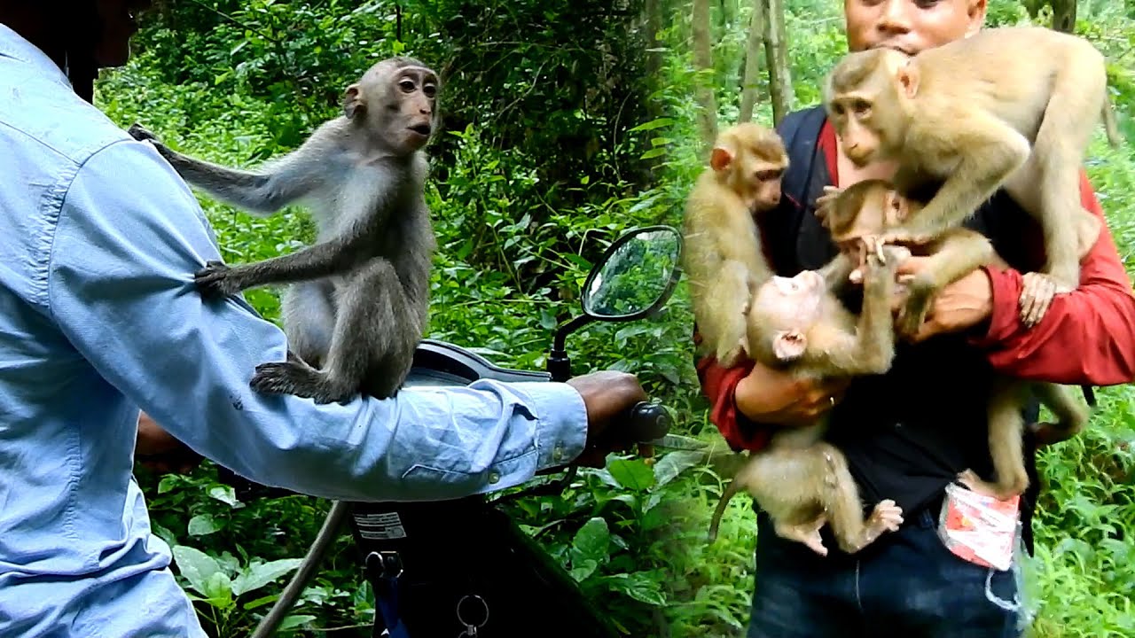 First morning of Dawn coming home & meet with new abandoned friend & happy to see her family again